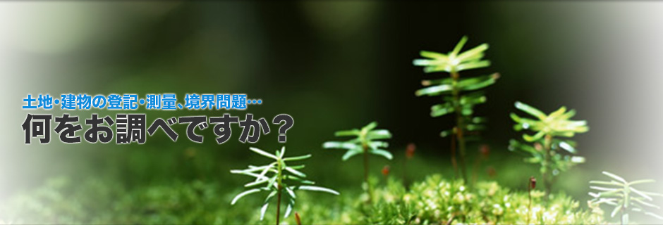 土地・建物の登記・測量、境界問題…何をお調べですか？